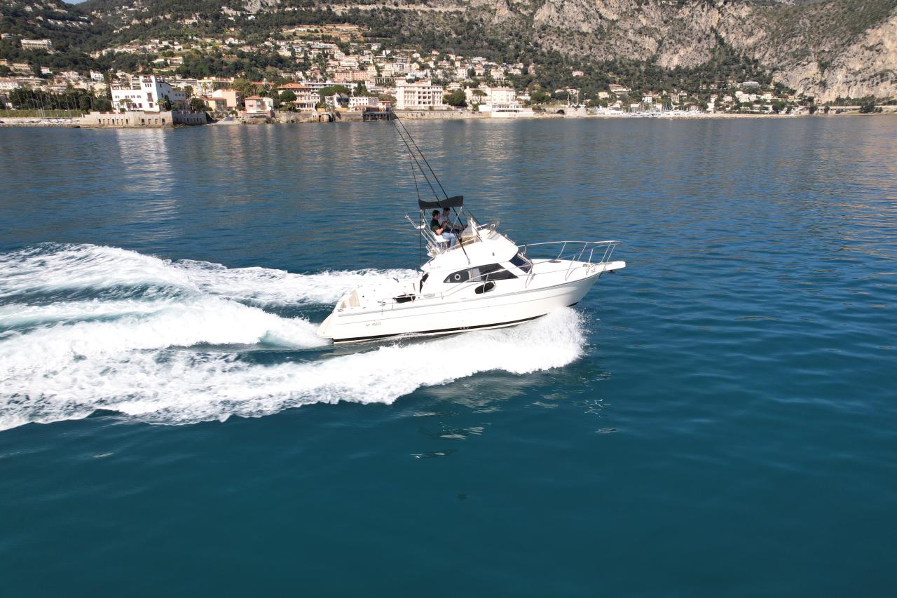 Ars Mare RS29 — photo 1 of 5