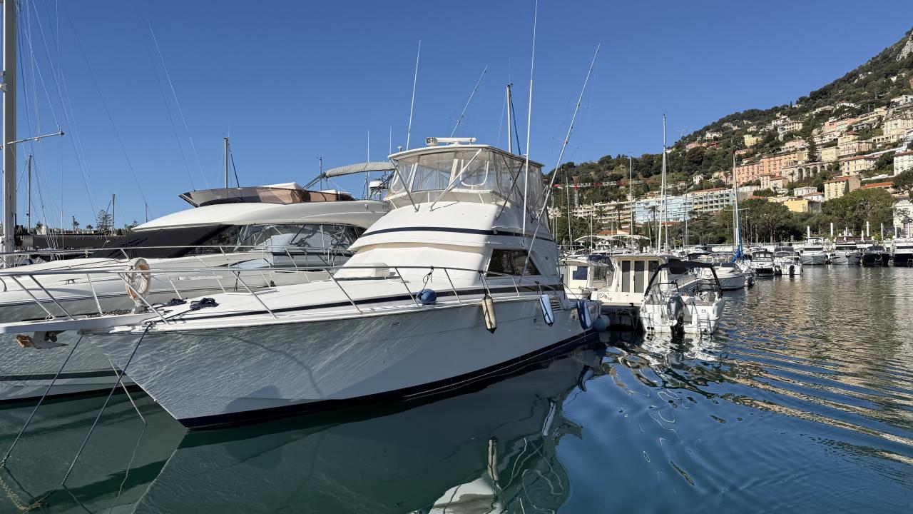Bertram 46 — photo 4